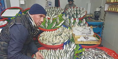 Balık Fiyatları Cep Yakıyor