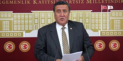 Gürer Parti Meclisine Giremedi