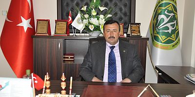 Koyunlar Kuzulama Dönemine Başladı
