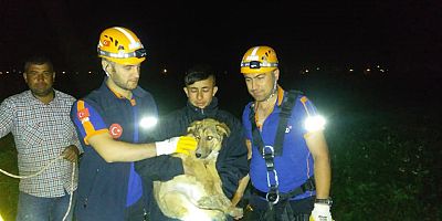 SU KUYUSUNA DÜŞEN KÖPEK AFAD TARAFINDAN KURTARILDI