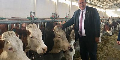  YERLİ HAYVAN IRKI YOK OLUYOR